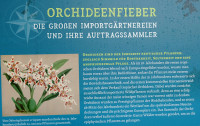 Orchideenfieber_1876.jpg