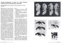 3-Genet.-Missbild.L.can.t.jpg (701.9 KiB) 51200-mal betrachtet 3-Genet.-Missbild.L.can.t.jpg