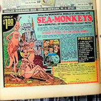 sea monkeys 2.JPG