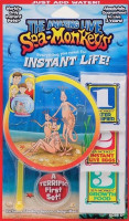 sea monkeys 1.jpg