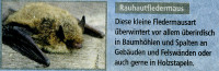 Überirdisch.jpg (322.75 KiB) 223683-mal betrachtet Überirdisch.jpg