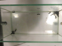 Extomo2.JPG (842.82 KiB) 115757-mal betrachtet Extomo2.JPG