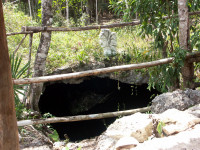 4-312-KlCenote-Eing10-49.jpg