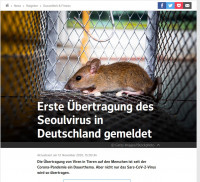 Seoulvirus, web.de.jpg