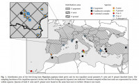 Plag.paras. Verbreitung.jpg (134.96 KiB) 123928-mal betrachtet Plag.paras. Verbreitung.jpg