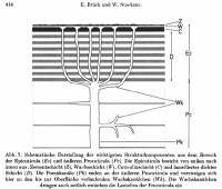 3-Brück-Schema.jpg