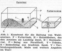 Formikar-mit-Tränke-2.jpg