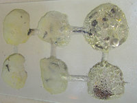 Odontomachus haematodus Nestkammern.JPG (696.96 KiB) 105123-mal betrachtet Odontomachus haematodus Nestkammern.JPG