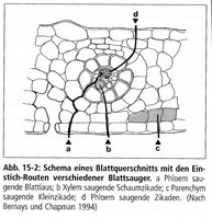 Stichkanäle-135.jpg