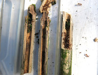 1-T.aff._1297.jpg (703.95 KiB) 53975-mal betrachtet 1-T.aff._1297.jpg