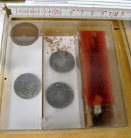 7-C.h.-Nest-Sieb_4262.jpg (104.98 KiB) 98613-mal betrachtet 7-C.h.-Nest-Sieb_4262.jpg