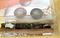 8-C.h.-Nest-Gyne_4264.jpg (110.14 KiB) 98613-mal betrachtet 8-C.h.-Nest-Gyne_4264.jpg