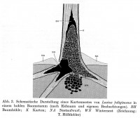 L.ful.NestMasch-Hölld.jpg