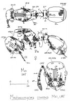 Mechanomyrma-Mei_097.jpg