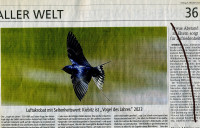 Kiebitz-Echo-6.10.2023.jpg (287.29 KiB) 506011-mal betrachtet Kiebitz-Echo-6.10.2023.jpg