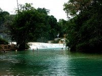 Cascadas-de-Agua-Azul-Chiap.jpg