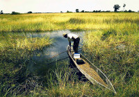 Okavango2--03.jpg