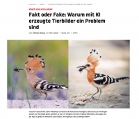 KI-Wiedehopf.png (693.46 KiB) 41254-mal betrachtet KI-Wiedehopf.png