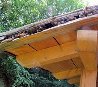 5-Dach_4445.jpg (118.8 KiB) 360514-mal betrachtet 5-Dach_4445.jpg