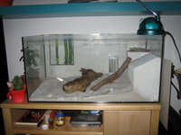 IMG_3682.JPG (1.16 MiB) 178070-mal betrachtet IMG_3682.JPG