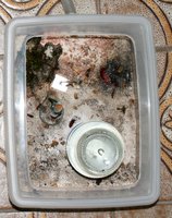 IMG_2660.jpg (468.94 KiB) 184066-mal betrachtet IMG_2660.jpg