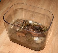 IMG_2647.jpg (636.72 KiB) 184066-mal betrachtet IMG_2647.jpg