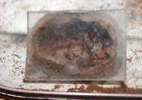 IMG_2656.jpg (441.69 KiB) 184066-mal betrachtet IMG_2656.jpg