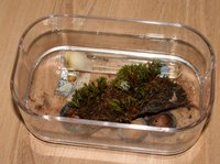 IMG_2657.jpg (727.08 KiB) 184066-mal betrachtet IMG_2657.jpg