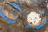 IMG_2658.jpg (645.33 KiB) 184066-mal betrachtet IMG_2658.jpg