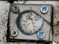 IMG_2659.jpg (308.74 KiB) 184066-mal betrachtet IMG_2659.jpg