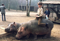 1971-3-Tüddern-Hippo.jpg (601.1 KiB) 73795-mal betrachtet 1971-3-Tüddern-Hippo.jpg
